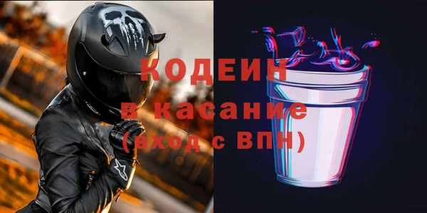 индика Козельск