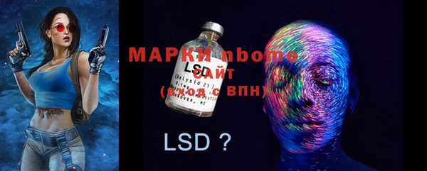 индика Козельск