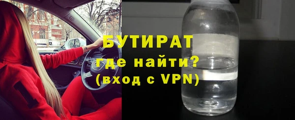 индика Козельск