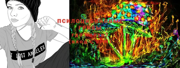 mdpv Козловка