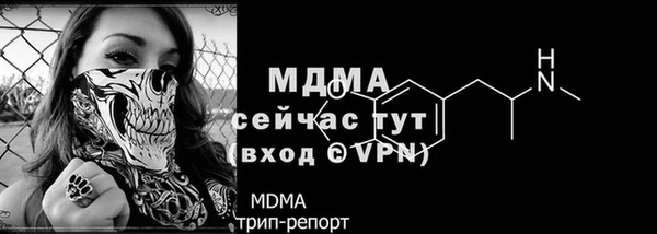индика Козельск