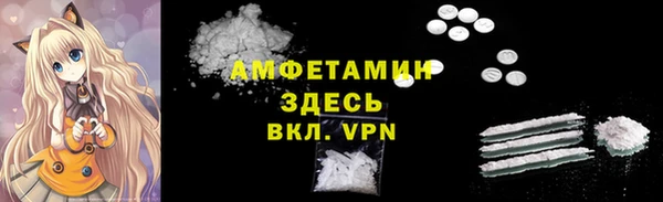 индика Козельск