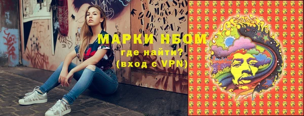 индика Козельск