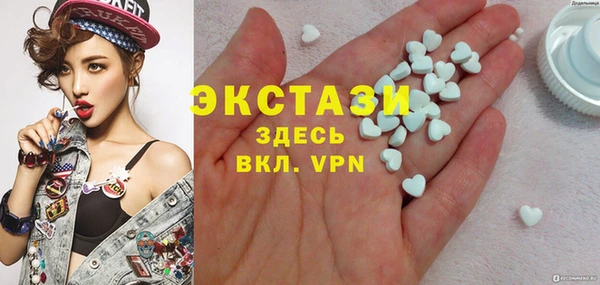 индика Козельск