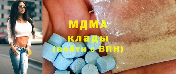 индика Козельск