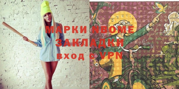 индика Козельск