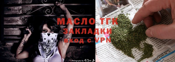 индика Козельск