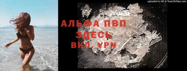 индика Козельск