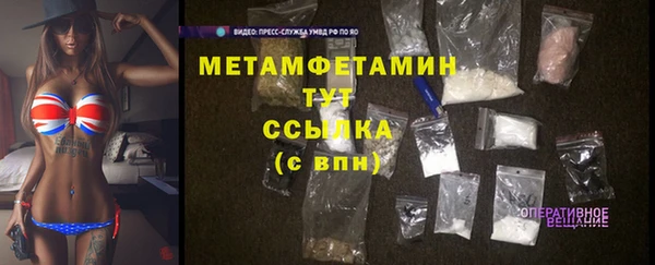индика Козельск