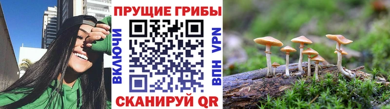 Галлюциногенные грибы прущие грибы  Купить где  Вязьма 
