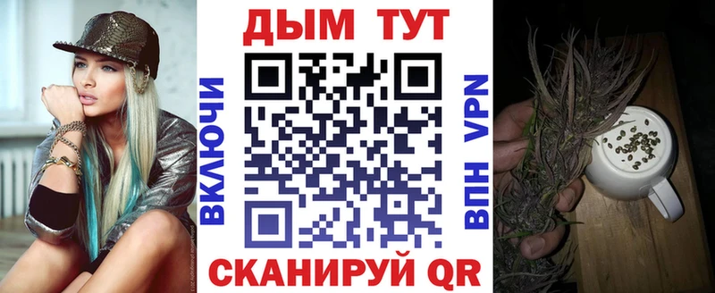 Купить  Вязьма  Бошки Шишки сатива 